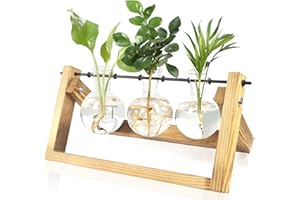 UGBO Florero de Vidrio Jarrón de Cristal para Planta Hidropónica con Soporte de Madera de Escritorio para Colgar En La Pared Estación de Propagación Soporte 3 Bombillas