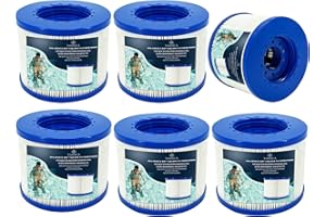 YANHUA Filtre de Spa à Visser,Compatible pour Cosy Spa, Clever Spa et de Plus,Filtre à Vis pour Spa Gonflable pour Spa Rechange Filtre (6)