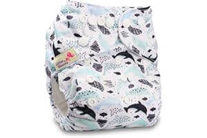 Littles & Bloomz, Reusable Pocket Cloth Nappy, Fastener: Popper, Set of 1, Pattern 10, with 1 Microfibre Insert