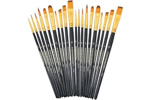 Transon 20pcs Bulk Art Painting Brush Set for Acrylic Watercolor Gouache Hobby Craft Face Painting