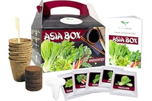 Magic of Nature Asia Box - Anzuchtset - 5 Kräuter und Gemüse Samen für die Asiatische Küche - Zum Selberzüchten oder zum Verschenken