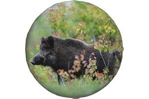 ZHIMAHOU Universal Ersatz Reserveradabdeckung Wildschwein im Wald Wasserdicht Reserveradabdeckung Staubdicht Reifen für Anhänger, Wohnmobil, SUV, Geländewagen Rad 14 Zoll