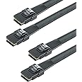 10Gtek [2 Pack 6G Internal Mini SAS SFF-8087 to SFF-8087 Cable, 100-Ohms, 0.5-m(1.6ft)