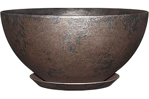 CLASSIC HOME & GARDEN Classic Home and Garden 3/807G/1 Vogue Rosie Planter Bowl 25.4 cm 10 Inches Rosie Northern Lights
