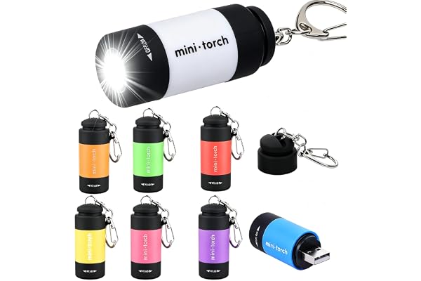 Infreecs 8 stycken mini LED-ficklampor, ficklampor barn | USB-uppladdningsbar med nyckelring, små ficklampor, vattentät, för camping, utomhus, present till barnens födelsedag