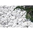 CATELL 50 stuks stenen om te beschilderen, 1-3 cm gladde kiezelstenen om te beschilderen, grind, decoratieve stenen, natuursteen, platte stenen om te beschilderen, voor kleurrijk schilderen, handwerk