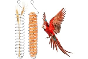 Bubuyun 2 Stück Papageien Spieß Fruchthalter Vogel Spiral Feeder Vogel Fruchthalter Edelstahl Papagei Obst- und Gemüsehalter Fleisch Lebensmittel Stick Halter Interessant Futterhäuschen für Vögel