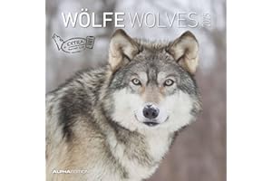 Wölfe 2025 - Broschürenkalender 30x30 cm (30x60 geöffnet) - Kalender mit Platz für Notizen - Wolves - Bildkalender - Wandplaner - Alpha Edition