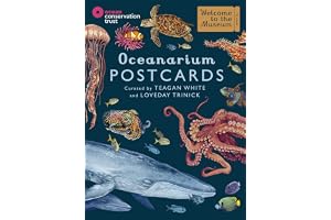 Oceanarium Postcards