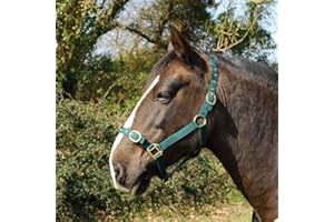 Rhinegold Nylon Headcollar - Full - Green