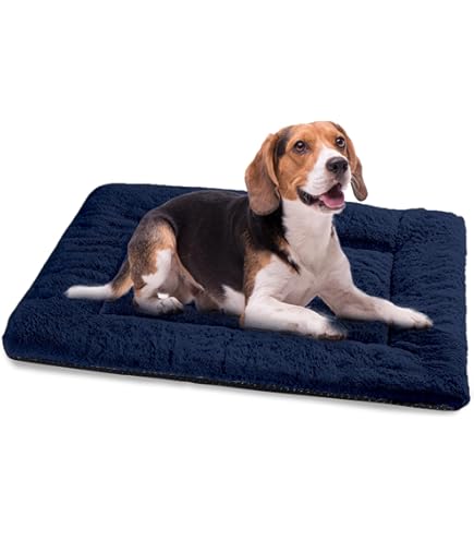 IEUUMLER Hondenbed Mat, Tweezijdig Wasbaar Kussen, Zacht Premium Pluche Hondenkrat Mat, Matras voor Kleine/Middelgrote/Grote Honden en Katten FC014 (Grijs en Blauw, S(60 * 45cm