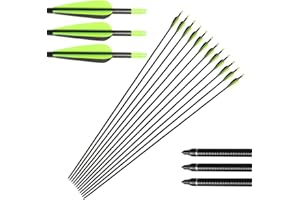 Huntingdoor 12Pcs 31" Fiberglass Targeting Arrows Archery Hunting Arrow with Replaceable Arrowhead for Recurve Bow Compound Bow Longbow