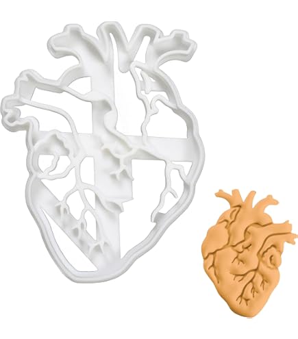 Cookie Cutter Set Set: Neuron & Brain Axial Section Anatomy Cookie Cutters
