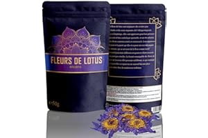 Stillestube Lotusblüten 50 Gramm | ganze Blüten blau | Naturbelassen & Unbehandelt | Spitzenqualität
