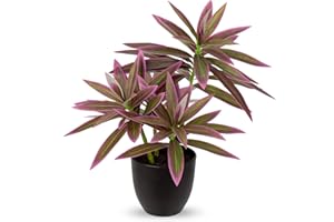 Oairse Plantas falsas de 41 cm en macetas negras, planta artificial de dracaena decorativa, plantas falsas realistas para interiores, para el hogar, baño, sala de estar, cocina, estante de cocina