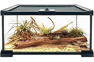Reptile Growth Reptile Terrarium, 12" x 8"x 6" Reptile Tank with Top Sliding Door Screen Ventilation Glass Tank for Leopard Gecko Bearded Dragon Lizard snail stick insect tarantula gecko snake