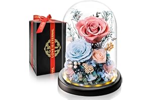 TOULOUBE Weihnachten Geschenke Ewige Rosa Rose im Glas I Rose Geschenk für Sie I Infinity Blumen mit LED-Beleuchtung I Eternal Geschenk für Frau Freundin Mama Oma I Perfekt für Hochzeit,Jahrestag,Valentinstag