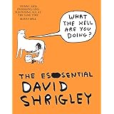 What The Hell Are You Doing?: The Essential David Shrigley