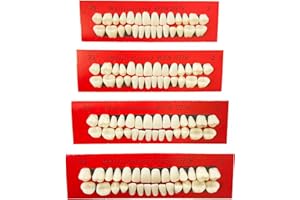 VIKSAUN 4 Stück Temporäres Zahnreparatur Set Formbare Künstliche Zähne Mehrzweck Falsch Zähne Vampirgebiss Zahnersatz Vampir Kostüm Zubehör Halloween Deko party (4 Stück)