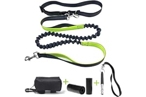 LOW&EE® Correa para Correr con Perros - Correa Manos Libres Perro retráctil - Correa Perro Running - Costuras Reflectantes + Bolso excrementos 30 Bolsas + Silbato ultrasonido (Gris/Verde)
