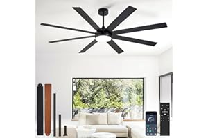 Depuley Ventilateurs de plafond 66 pouces avec éclairage: Ventilateur de plafond noir pour terrasses extérieures - Grand ventilateur à 8 pales avec éclairage et contrôle via application mobile