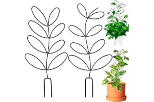 ORIGREEN 2 Stück Metall Rankhilfe für Zimmerpflanzen, Blattförmiges Rankgitter, Metalldrahtpfahl für Kletterpflanzen, Zimmerpflanzen-Dekoration, Mini-Pflanzen-Rankhilfe für Monstera Hoya Garten(schwarz, DE)