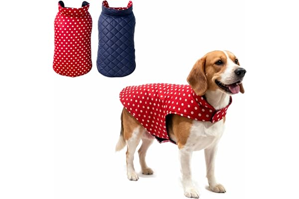 JoyDaog Dog Winter Clothes 18 Inch Reversible Jacket Red Color Design Warm Dog Coat Windproof Pets Cold Weather Wearing (M)