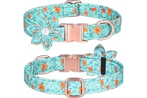 haoyueer Obroża dla psa, dla dziewczyny z kryształami górskimi, obroża dla szczeniaka, kwiatowy wzór, urocza obroża dla psa z odpinanym kryształem górskim, kwiat dla kobiet, rozmiar S, M, niebieska