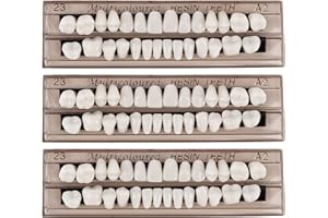 WZWZO Dents Artificielles, 3 pièces Fausse Dent, Fausse Dent Naturel a Poser, Dents, Resine Dentaire, Couvre Dent Artificielle pour Soins bucco-dentaires Dentaire Cosmétique Sourire Dents