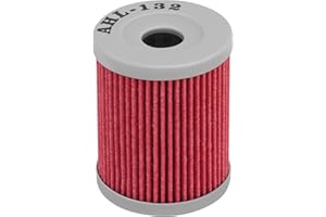 AHL-Motocicletta Filtro Olio per YAMAHA YP400 MAJESTY 400 2004-2014/SUZUKI AN250 BURGMAN 250 1999-2007/AN400 BURGMAN 400 1999-2006/ AN250 BURGMAN 250 1999-2007 / RV125 VAN VAN 125 2003-2012…