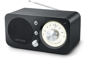 Muse M-095 BT - Radio