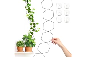 Dumwis Kettenspalier für Kletterpflanzen,Pentagon rankhilfe,Rankgitter Metall, DlY drinnen & drauBen Robustes Pflanzenhalter,Gartenkette Pflanzenstütze Zimmerpflanzenzubehör für Topfhaus Efeu,Reben