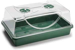EarlyGrow MPL50031/P Medium Propagator with Shatter Resistant Lid for Seed Germination and Plant Growth - 38x24x18 Centimetres - Green