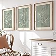 Generic Set of 3 Botanical Prints, Sage Green Wall Art, Living Room Lounge Bedroom Poster, Home Decor, A3, A4 (A4)