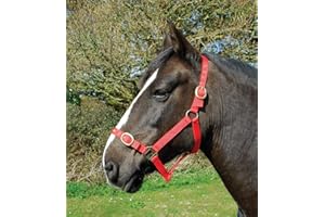 Rhinegold Nylon Headcollar - Full - Red