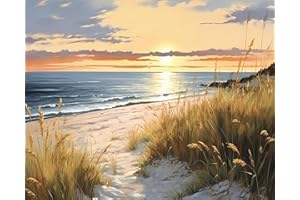 TISHIRON Peinture à la main par numéros Kits de peinture pour adultes avec pinceaux Coucher de soleil sur la mer Peinture par numéros sur toile Acrylique Pigment Artisanat 40,6 x 50,8 cm