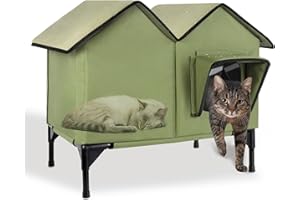 GDGZT Outdoor Cat House, Large Waterproof Cat Kennel with Elevated Base, Pet House for Indoor Outdoor Cats and Small Dogs, Feral Cat Shelter for Multiple Cats, Green