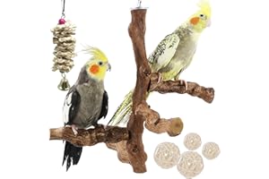 Allazone Lot de 6 perchoirs à Oiseaux naturels avec Jouets à mâcher en Vigne Naturelle pour perroquets, perruches, calopsittes, Conures, aras, inséparables
