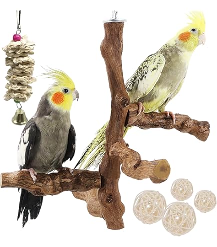 9 Stück Naturholz Sitzstangen Für Vögel | Vogelspielzeug Mit Metallklammern