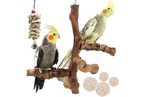 Allazone Lot de 6 perchoirs à Oiseaux naturels avec Jouets à mâcher en Vigne Naturelle pour perroquets, perruches, calopsittes, Conures, aras, inséparables