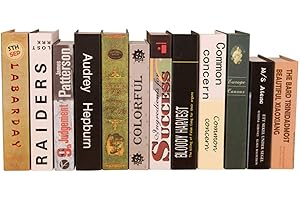 Libros Falsos para decoración | Adorno de exhibición de Libros Decorativos Simples creativos | Libros Falsos de la decoración de los Muebles de la Moda para el Dormitorio de la Sala de Estar Gimocool