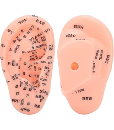 Luqeeg Modello di Orecchio in Silicone, Modello di Orecchio Umano di Simulazione a 1 Paio, Orecchio Finto Flessibile Morbido Riutilizzabile, Modello di Piercing per Parti del Corpo(1
