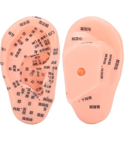 1 Paio Orecchie Finte In Silicone Per Esercitazioni Piercing E Trucco – Modello Orecchio Umano Realistico 7,5x4,5 Cm