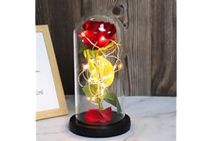 Touloube Geschenke für Frauen, Die Schöne und das Biest Rose - Premium Rose Blume Geschenk, Ewige Rose im Glas, 1 Rot Seide Rose in Glaskuppel, Geschenke für Mama Großmutter Oma Frauen Freundin