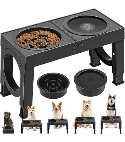 Dorai Home Hundenapf Stone Base – Rutschfeste, Schnell Trocknende Futterstation Aus Kieselgur