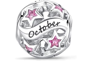 XWN Women's 925 Sterling Silver Birthstone Pendant, compatible with Pandora-style and European-style bracelets and necklaces, an ideal jewelry gift for women.MON1