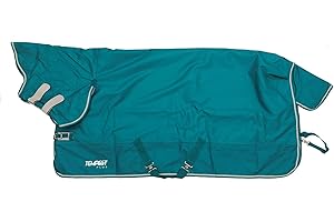 Shires Tempest Plus 200 Turnout Combo Turnout Rug - Teal