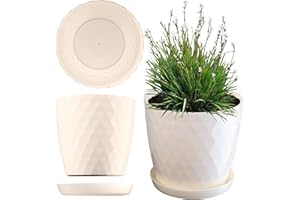 KADAX Plastikowa Doniczka na kwiaty, okrągła donica z podstawką, lekki i wytrzymały materiał, dekoracyjna donica na rośliny, zioła (16 cm, kremowa)