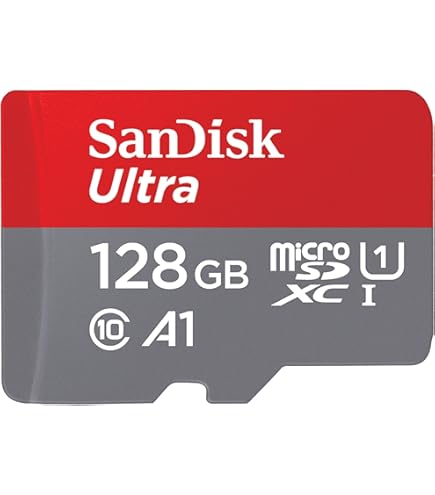 Micro Sd Sdxc 64gb Classe 10 | Confronta prezzi