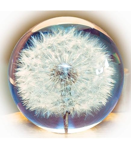 Dandelion Dreaball Paperweight Crystal Wishing Ball Unique Dandelion